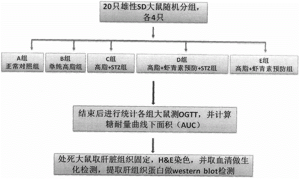 Application of astaxanthin in preparation of drugs for prevention and treatment of glomerular fibrosis and edema