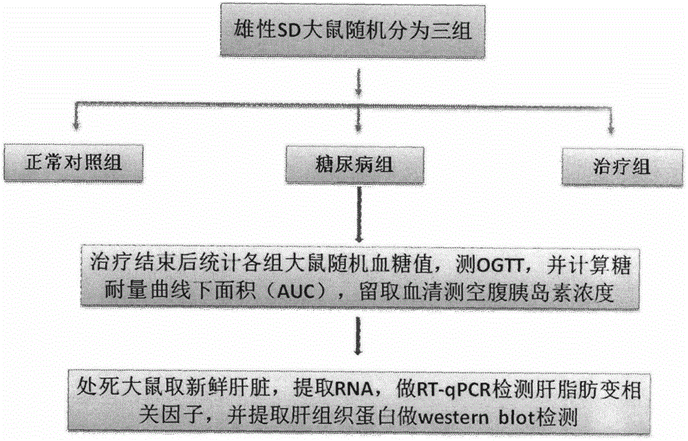 Application of astaxanthin in preparation of drugs for prevention and treatment of glomerular fibrosis and edema