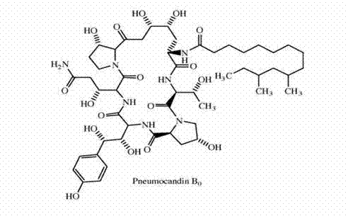 Method for purifying caspofungin precursor pneumocandin B0 component