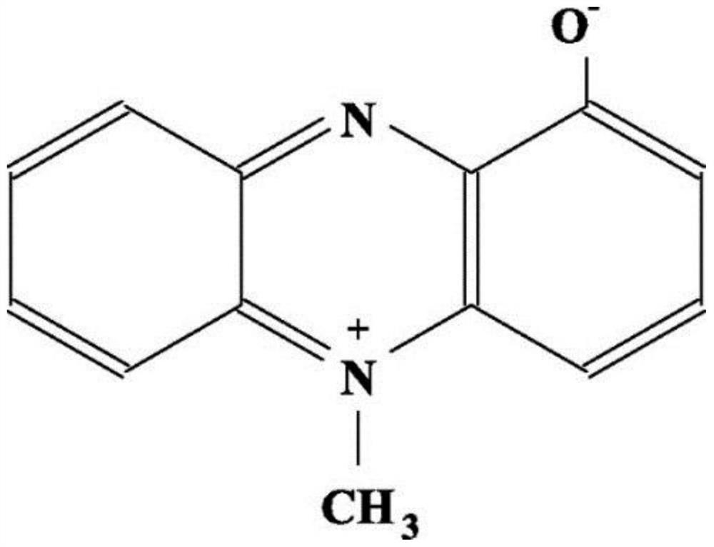 High-yield pyocyanin engineering bacterium and construction method and application thereof