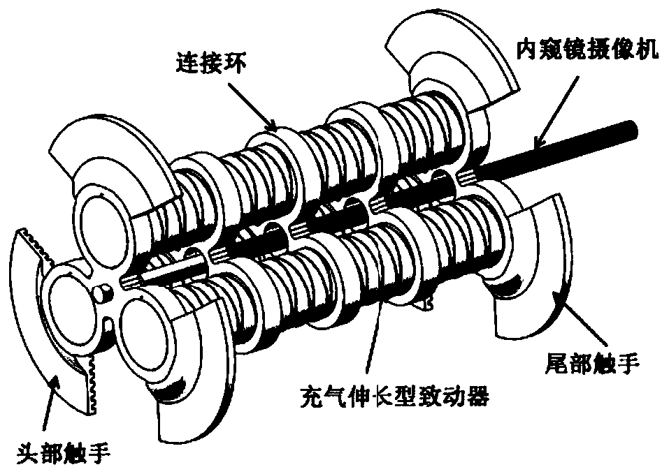 Gas-powered soft-bodied crawling robot and manufacturing and controlling method thereof