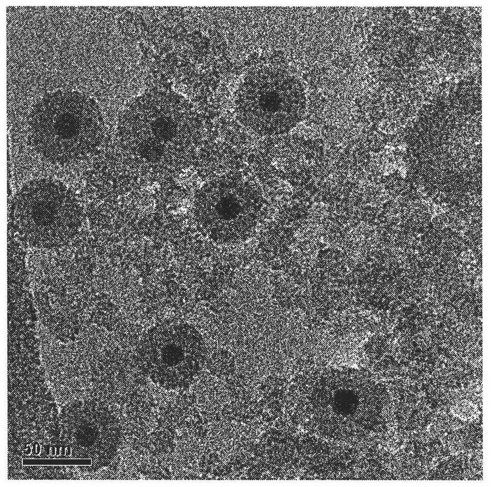 Preparation method of SPIO.SiO2-WGA (Wheat Germ Agglutinin) intestinal wall targeting contrast agent