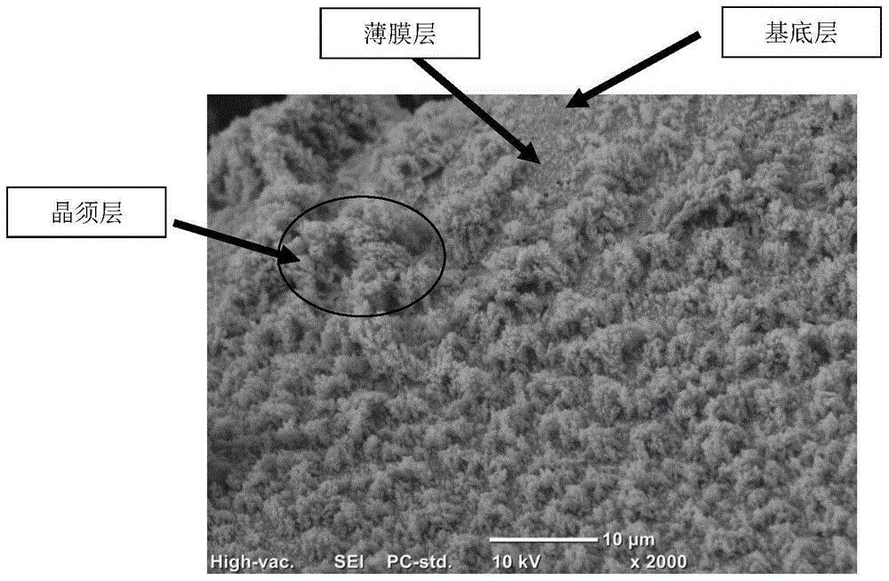 Electrode of hydrocarbon produced by carbon dioxide through electrochemical reduction and preparation and application of electrode