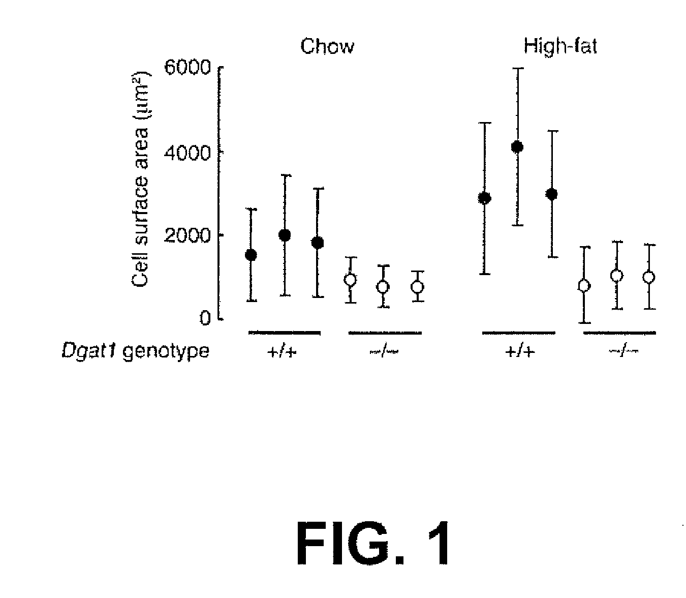 Genetically modified mouse lacking diacylglycerol acyltransferase-1 (DGAT-1) activity