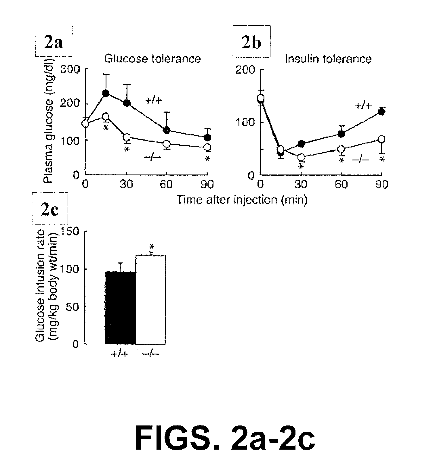 Genetically modified mouse lacking diacylglycerol acyltransferase-1 (DGAT-1) activity