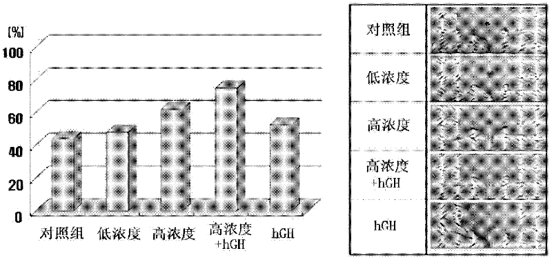 Composition for skin regeneration, containing a secretion in the culture of an embryonic stem cell-derived endothelial progenitor cell or fractions thereof, and use thereof