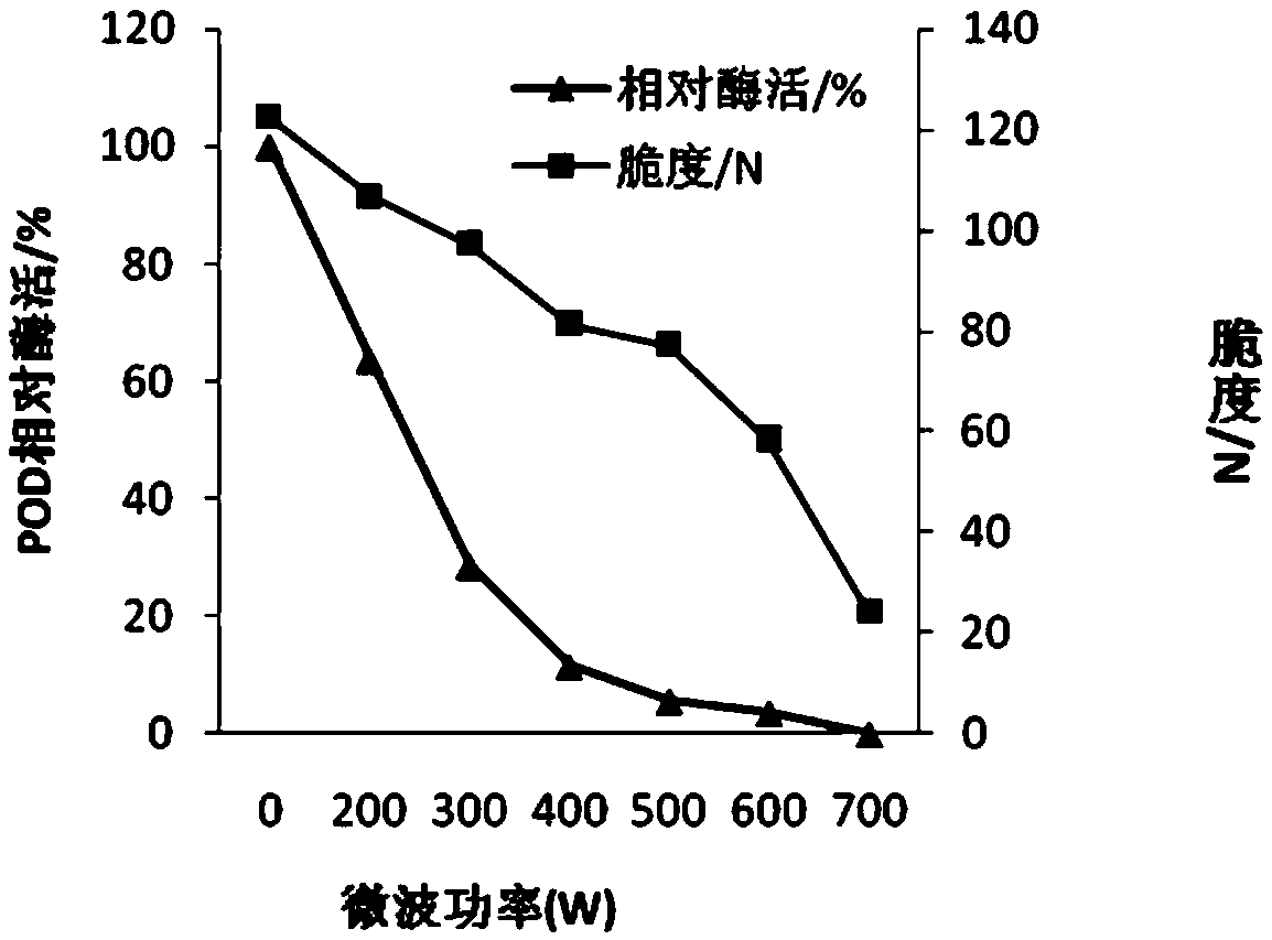 Sulfur-less low-salt fast infusion method of capsicum frutescens