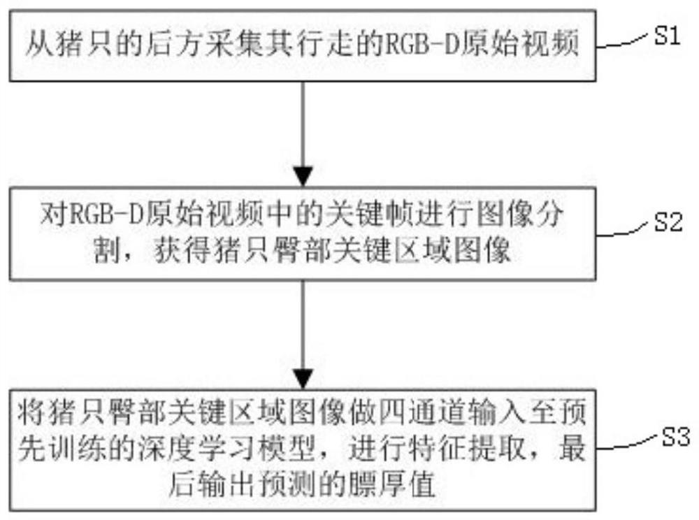 Pig backfat thickness measuring method and system