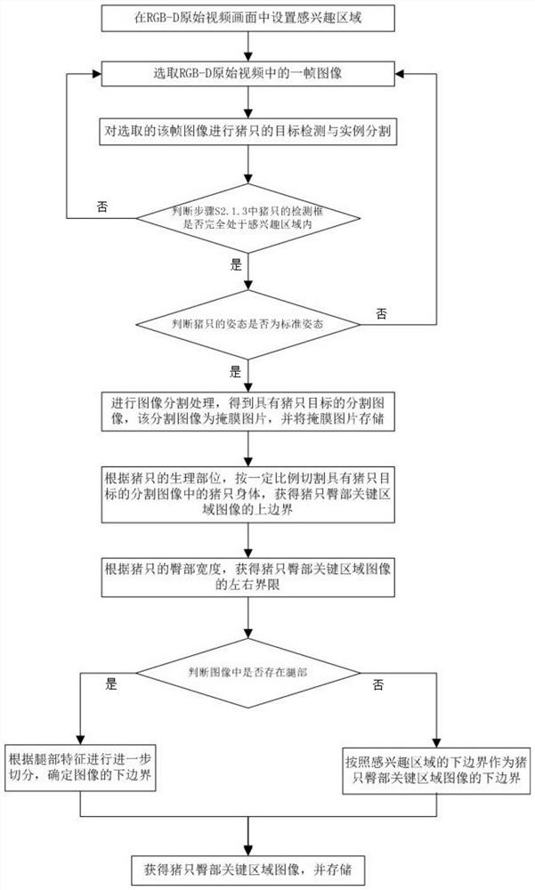 Pig backfat thickness measuring method and system