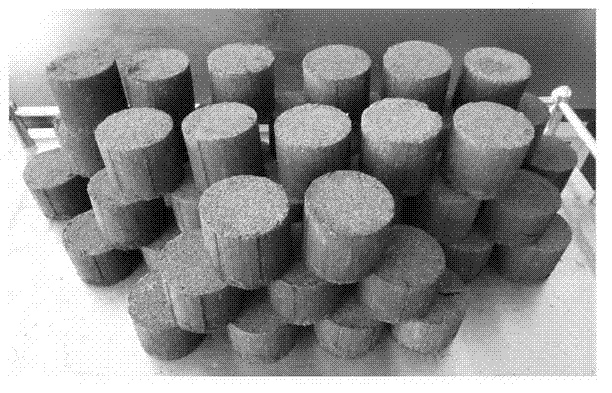 Method for preparing biomass type coal adhesive from boghead coal and co-producing biomass type coal and organic fertilizer