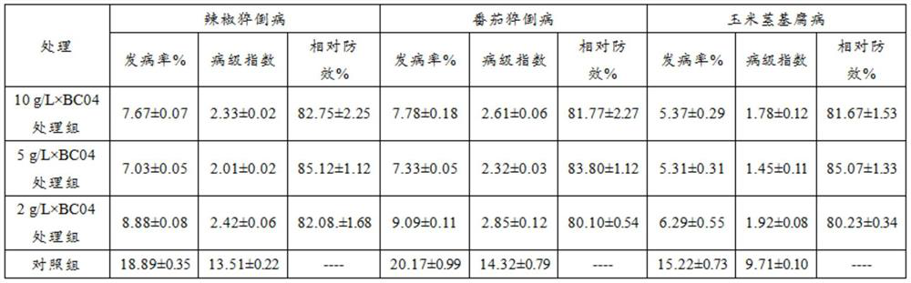 Biocontrol bacterium BC04 as well as microbial inoculum, microbial inoculum preparation method and application thereof