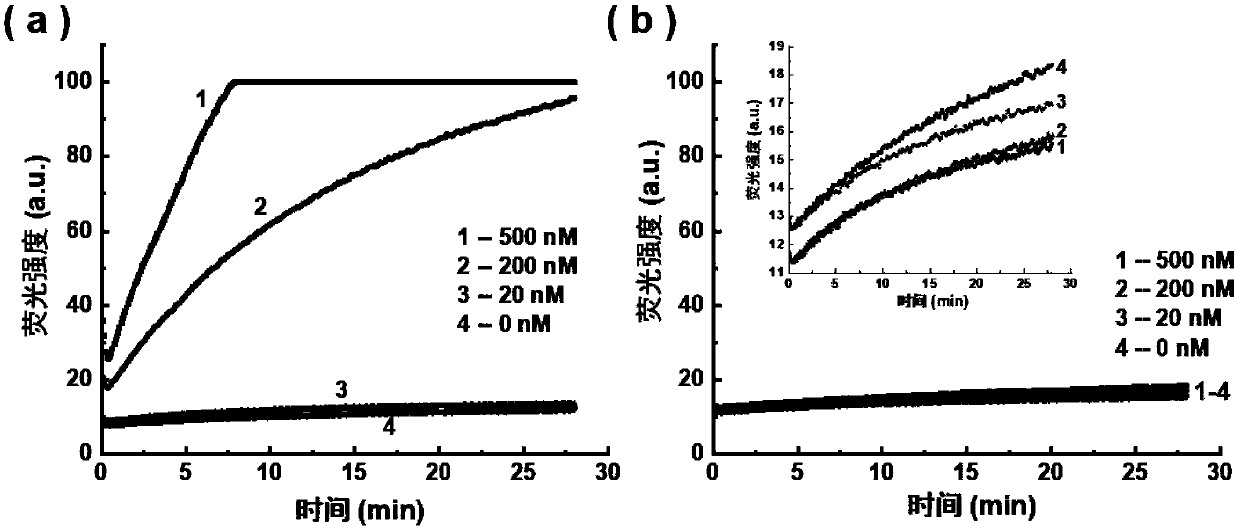 Gene mutation detection method based on selective elimination of wild strand background interference