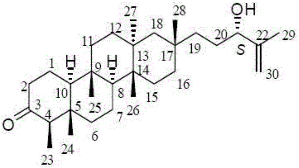 Application of Astataricusones A in preparation of antibacterial drugs