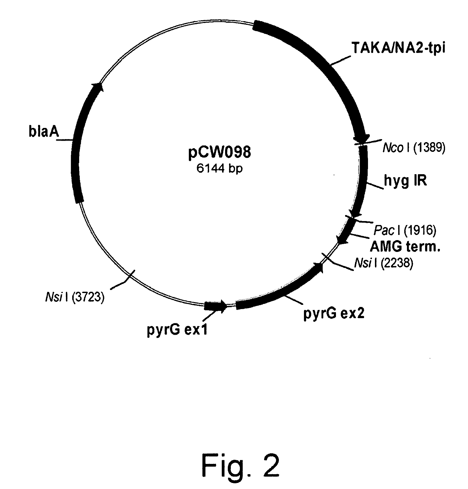 Methods of Eliminating or Reducing Expression of Genes in Filamentous Fungal Strains by Transitive RNA Interference