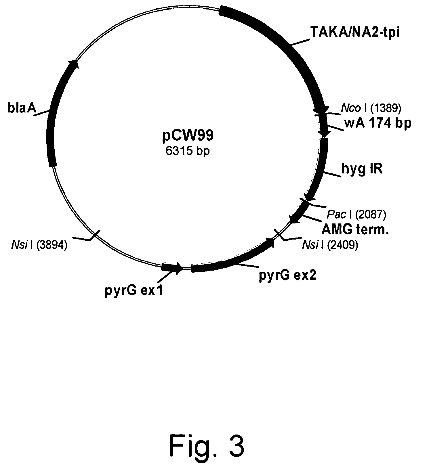 Methods of Eliminating or Reducing Expression of Genes in Filamentous Fungal Strains by Transitive RNA Interference