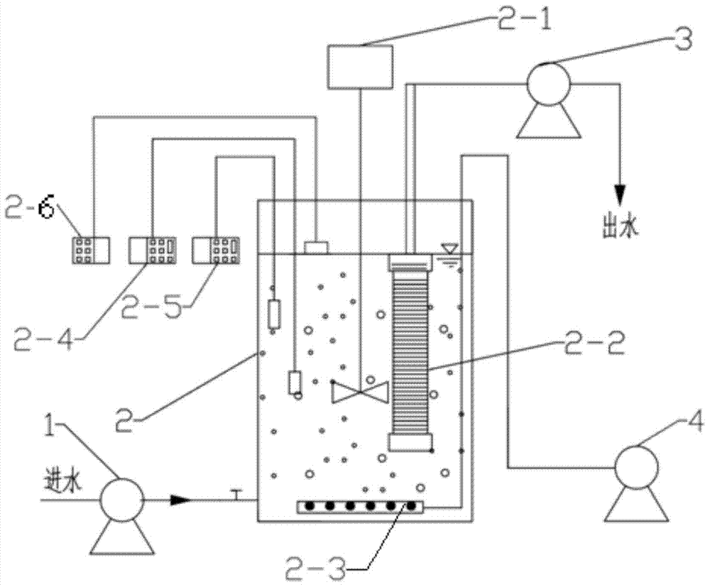 A start-up method for synchronously removing carbon, nitrogen and suspended solids in low-carbon source wastewater by using a membrane bioreactor