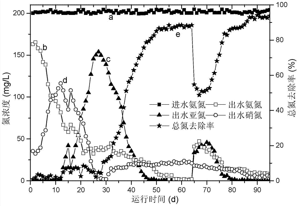 A start-up method for synchronously removing carbon, nitrogen and suspended solids in low-carbon source wastewater by using a membrane bioreactor