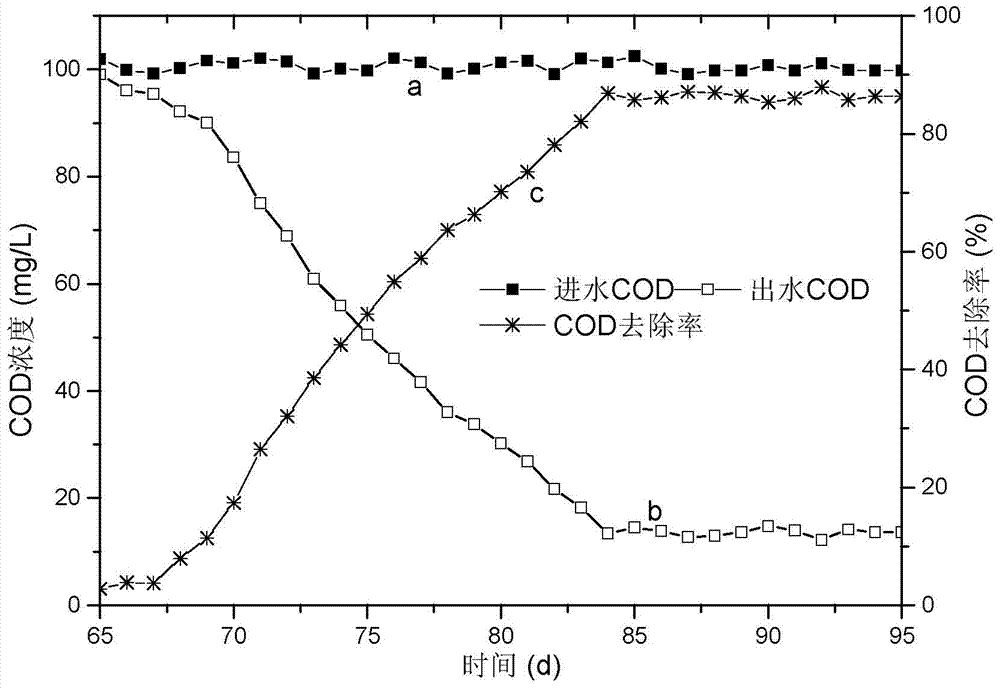 A start-up method for synchronously removing carbon, nitrogen and suspended solids in low-carbon source wastewater by using a membrane bioreactor