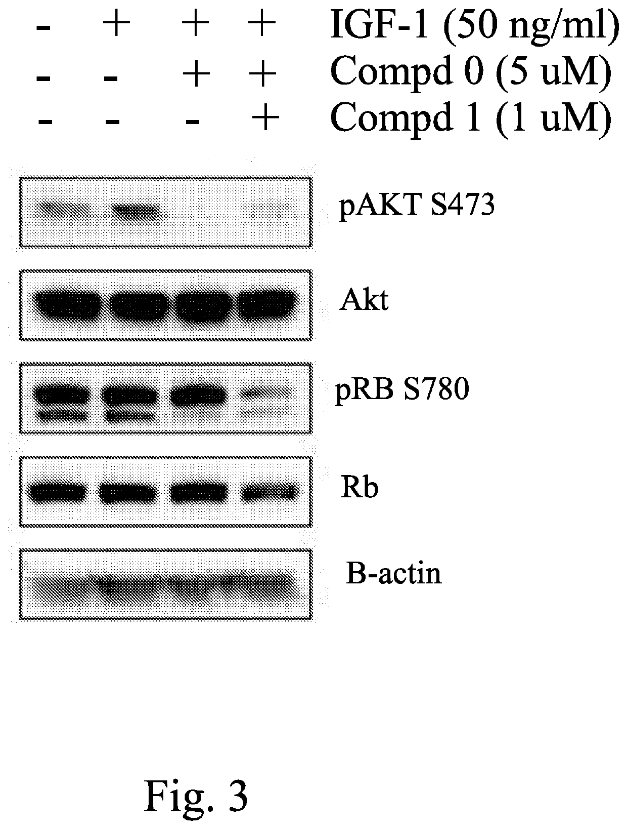 Thienopyranones and Furanopyranones as Kinase, Bromodomain, and Checkpoint Inhibitors