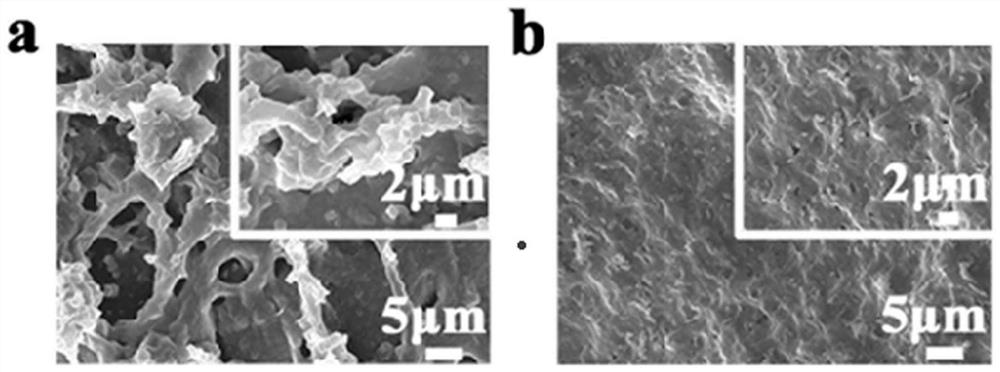 Polyether ether ketone bone repair material with antibacterial properties and preparation method of polyether ether ketone bone repair material