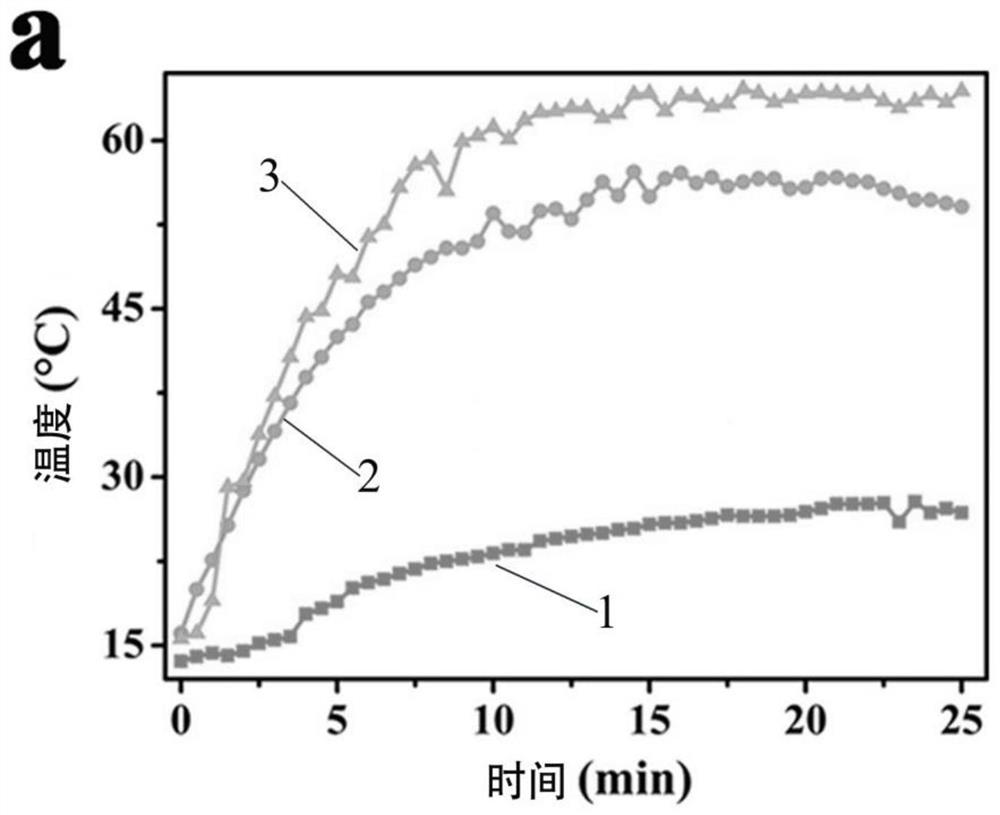 Polyether ether ketone bone repair material with antibacterial properties and preparation method of polyether ether ketone bone repair material