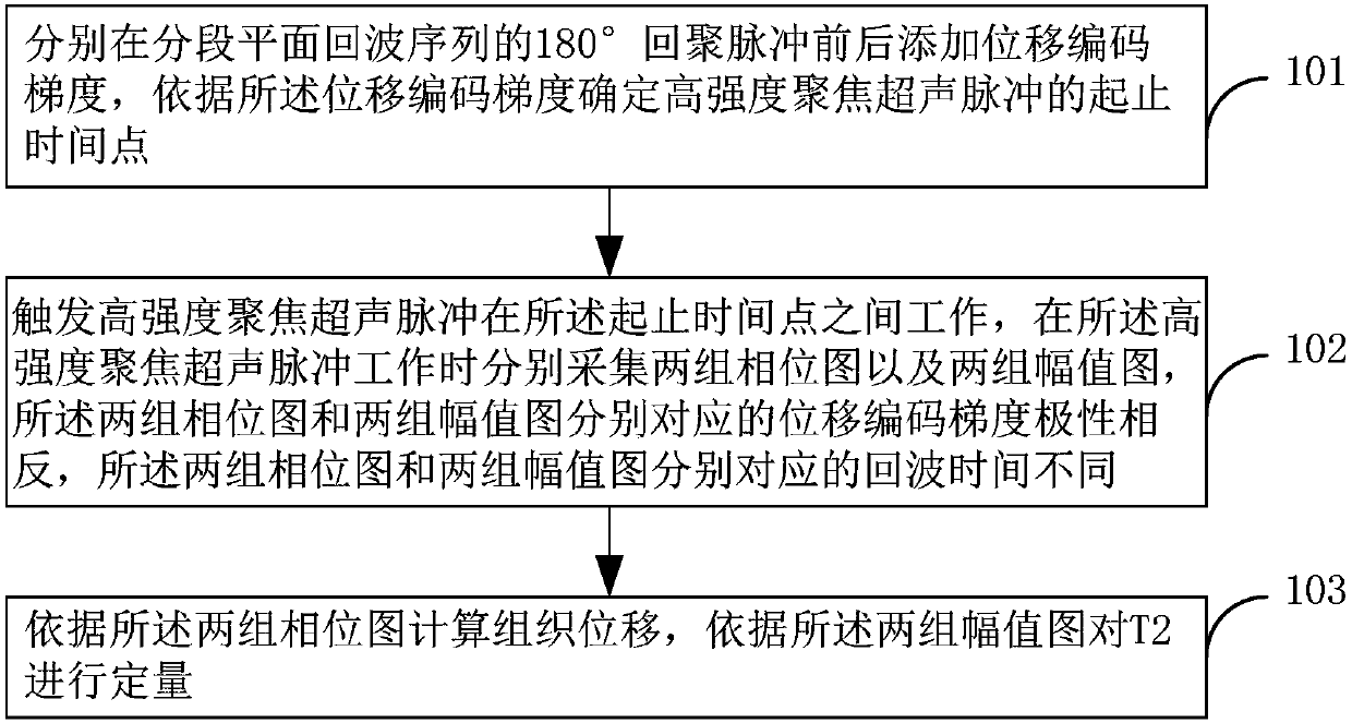 Method and device for synchronously detecting tissue displacement and T2