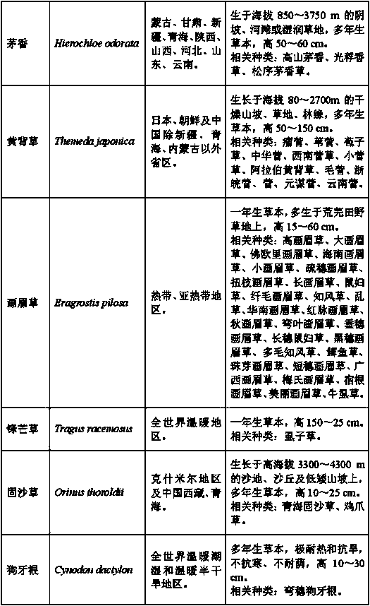 Method for addressing global climate change by C4 plants