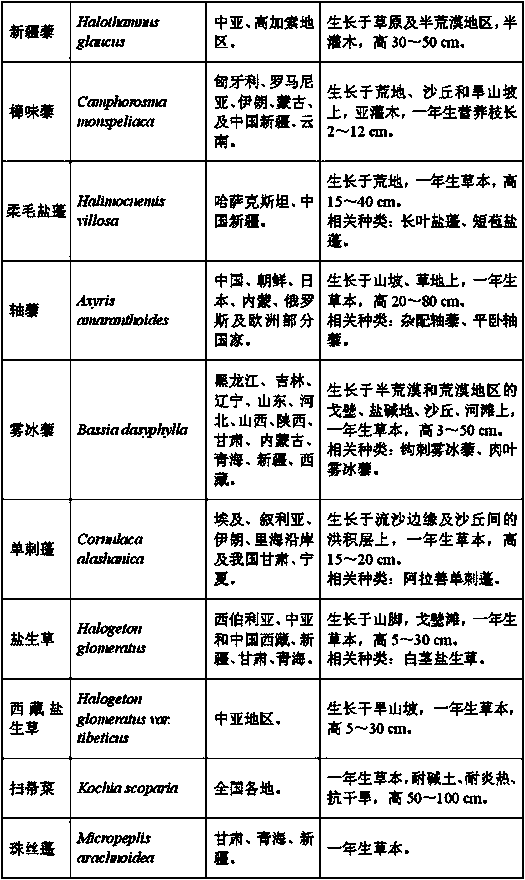 Method for addressing global climate change by C4 plants