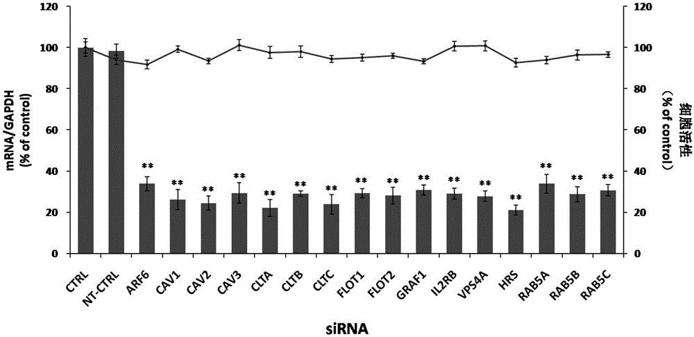 Application of vacuolar protein sorting 4A to preparing medicines for preventing or treating enterovirus type 71 infection