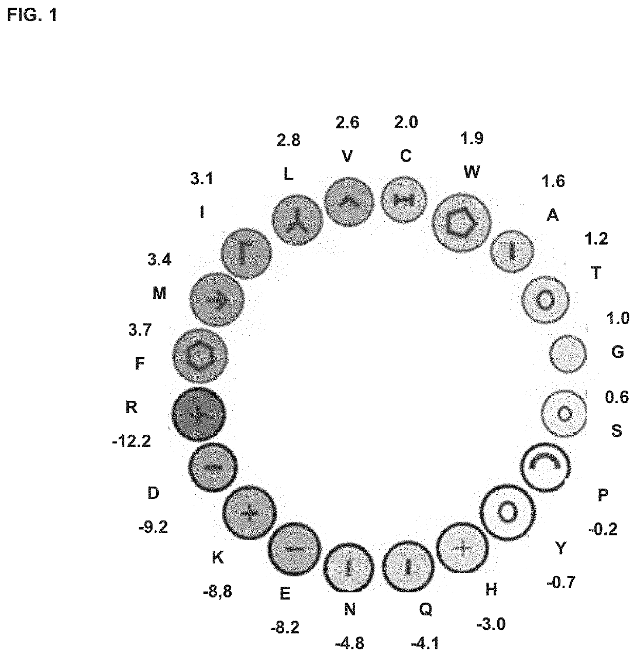 Methods for Modulating Macrophage Activity