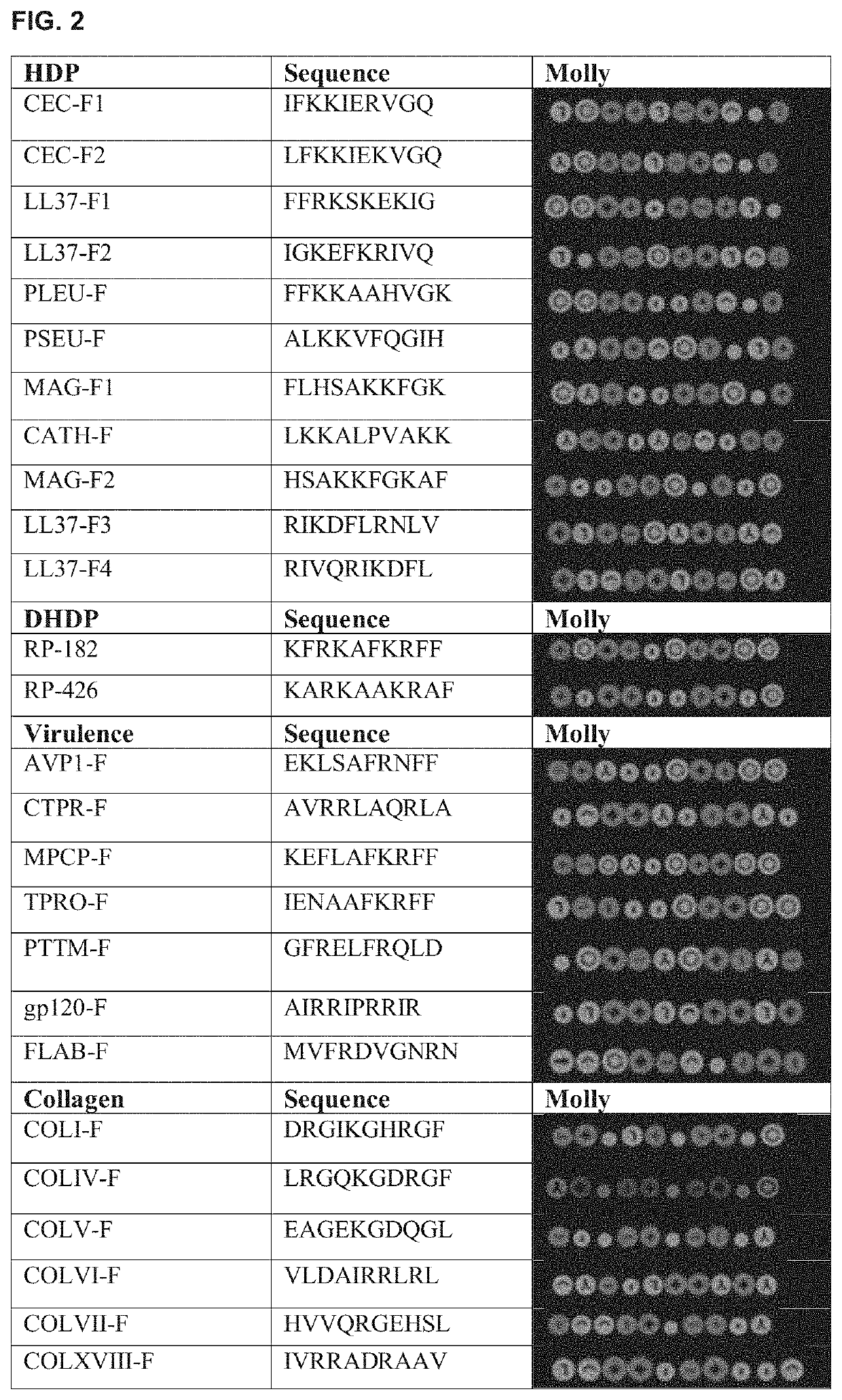 Methods for Modulating Macrophage Activity