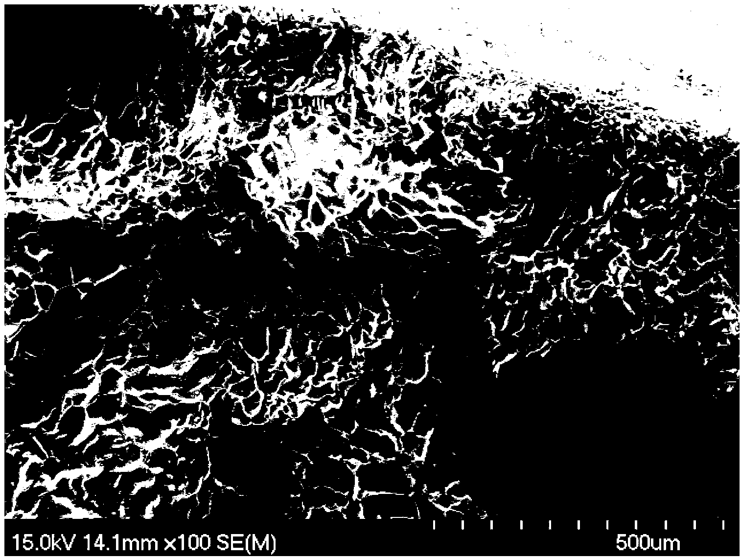 Composite continuous bed cryogel and preparation thereof, and application in separating IgG and albumin