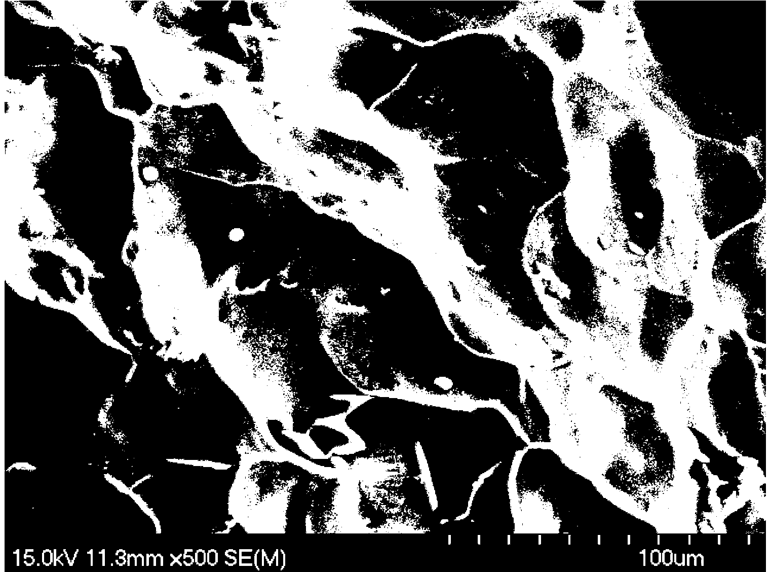 Composite continuous bed cryogel and preparation thereof, and application in separating IgG and albumin