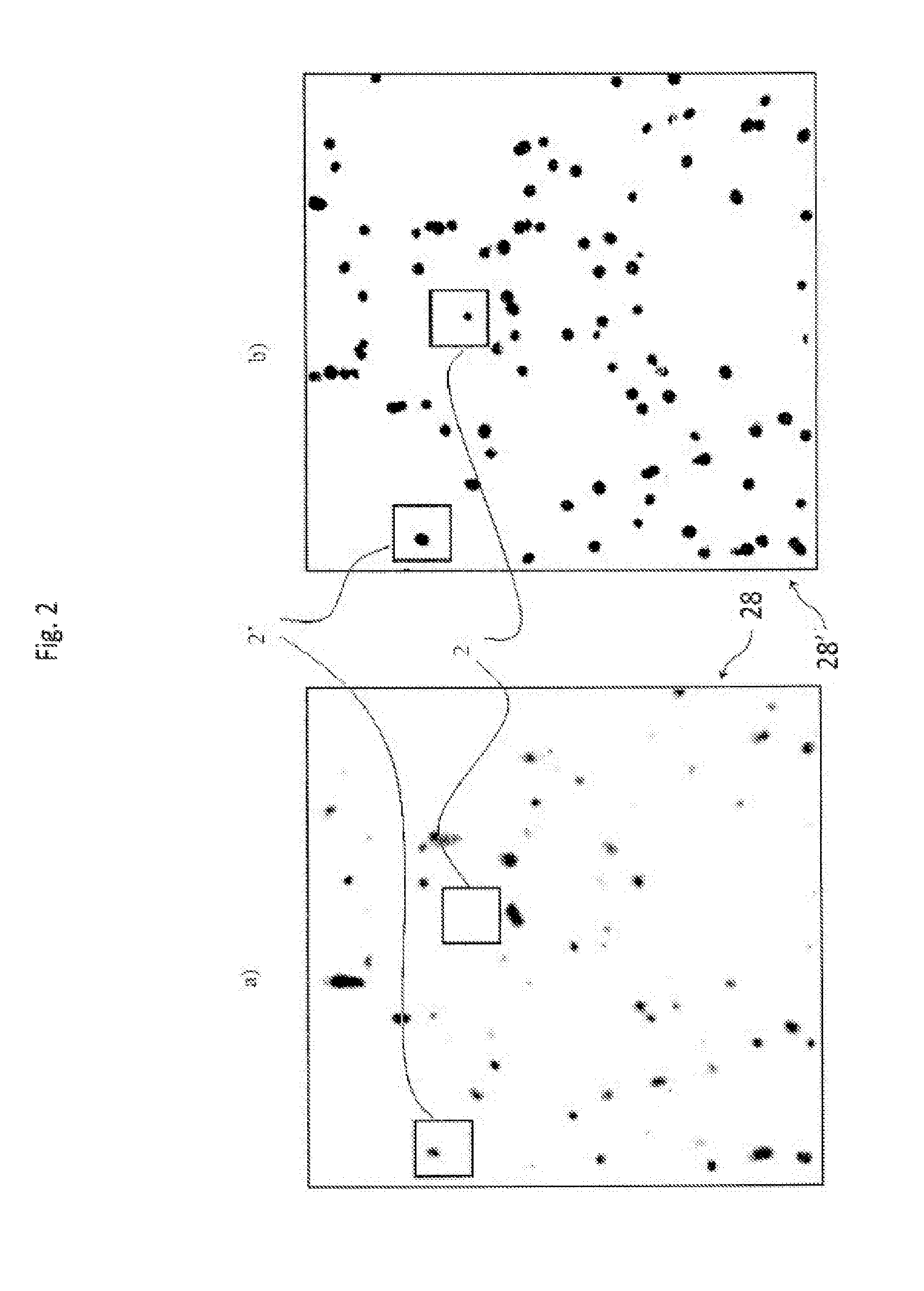 System and method for classification of particles in a fluid sample