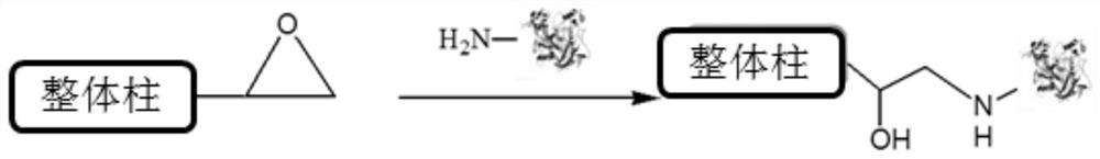 Anti-acetylcholinesterase active composition in Gongluomu and its screening method and application