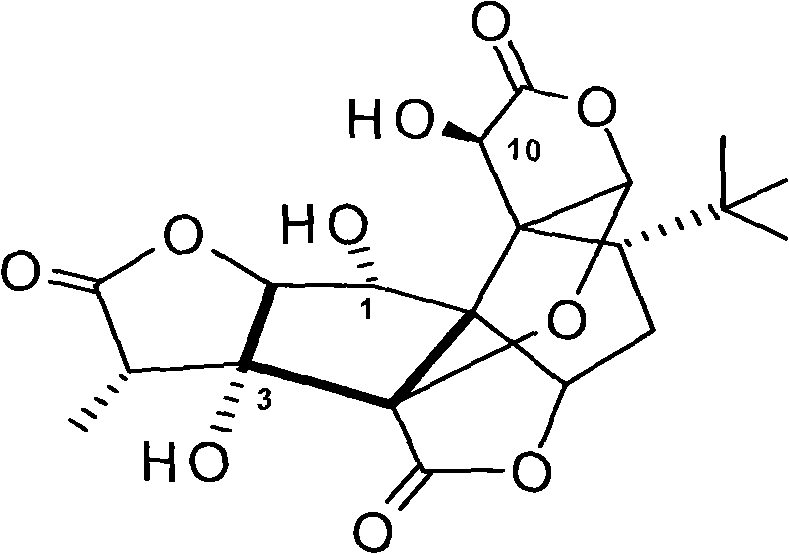 Water-soluble amino-acid ester derivative of ginkgolide B