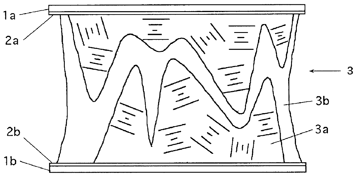 Liquid crystal element having composite layer