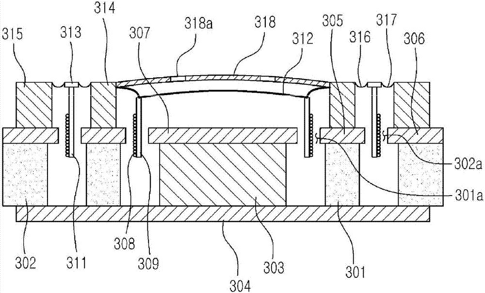 Bone conduction speaker module and bone conduction earphones having bone conduction speaker modules