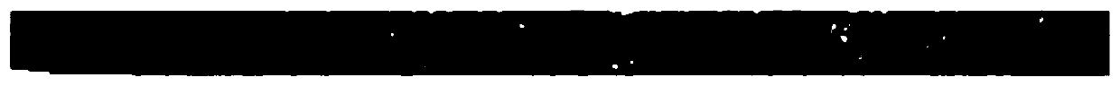 A Diffusion Method of Gaseous Water in Asphalt Mortar