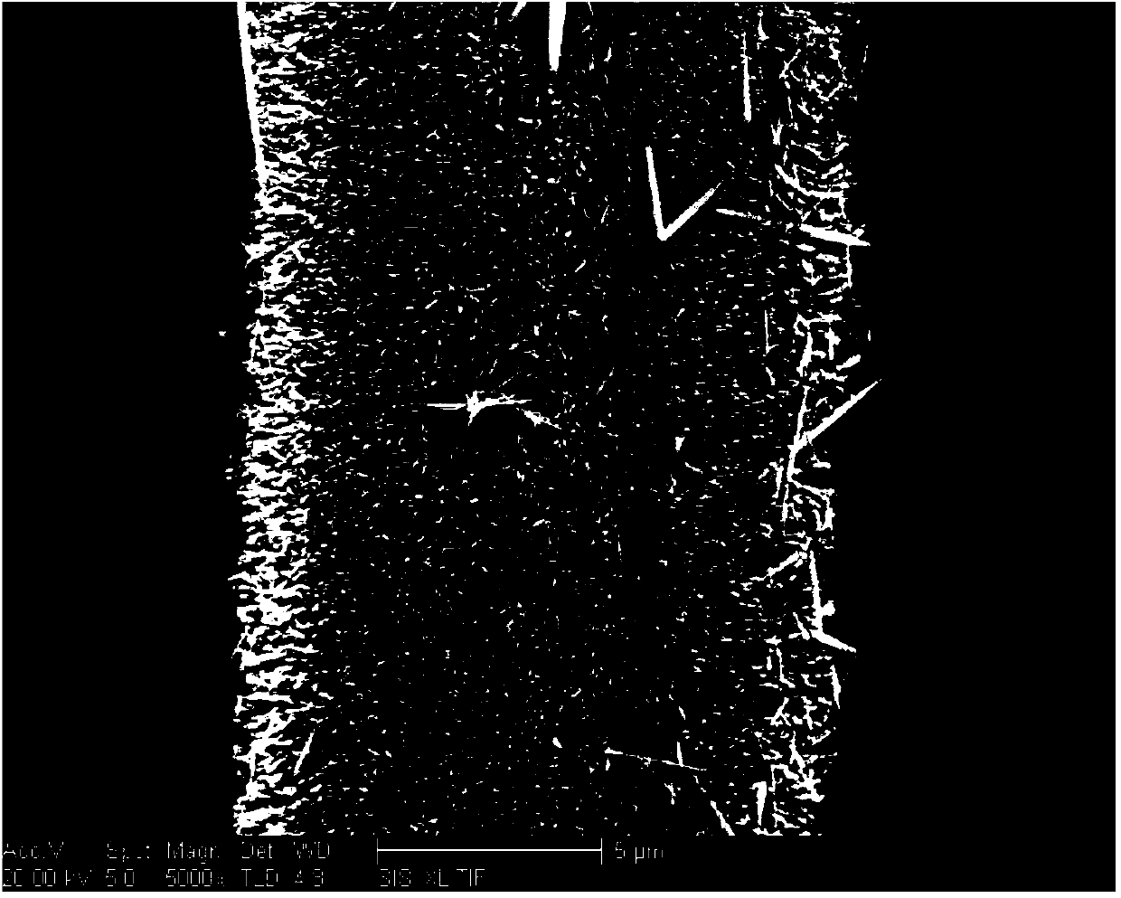 Preparation method for zinc oxide nanowire-modified PBO fiber