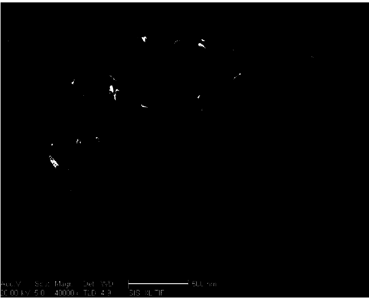 Preparation method for zinc oxide nanowire-modified PBO fiber