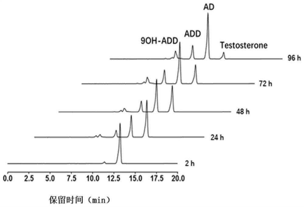 Application of microorganism containing 3 beta-steroid dehydrogenase gene as marker of male depression