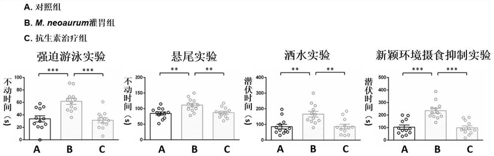 Application of microorganism containing 3 beta-steroid dehydrogenase gene as marker of male depression