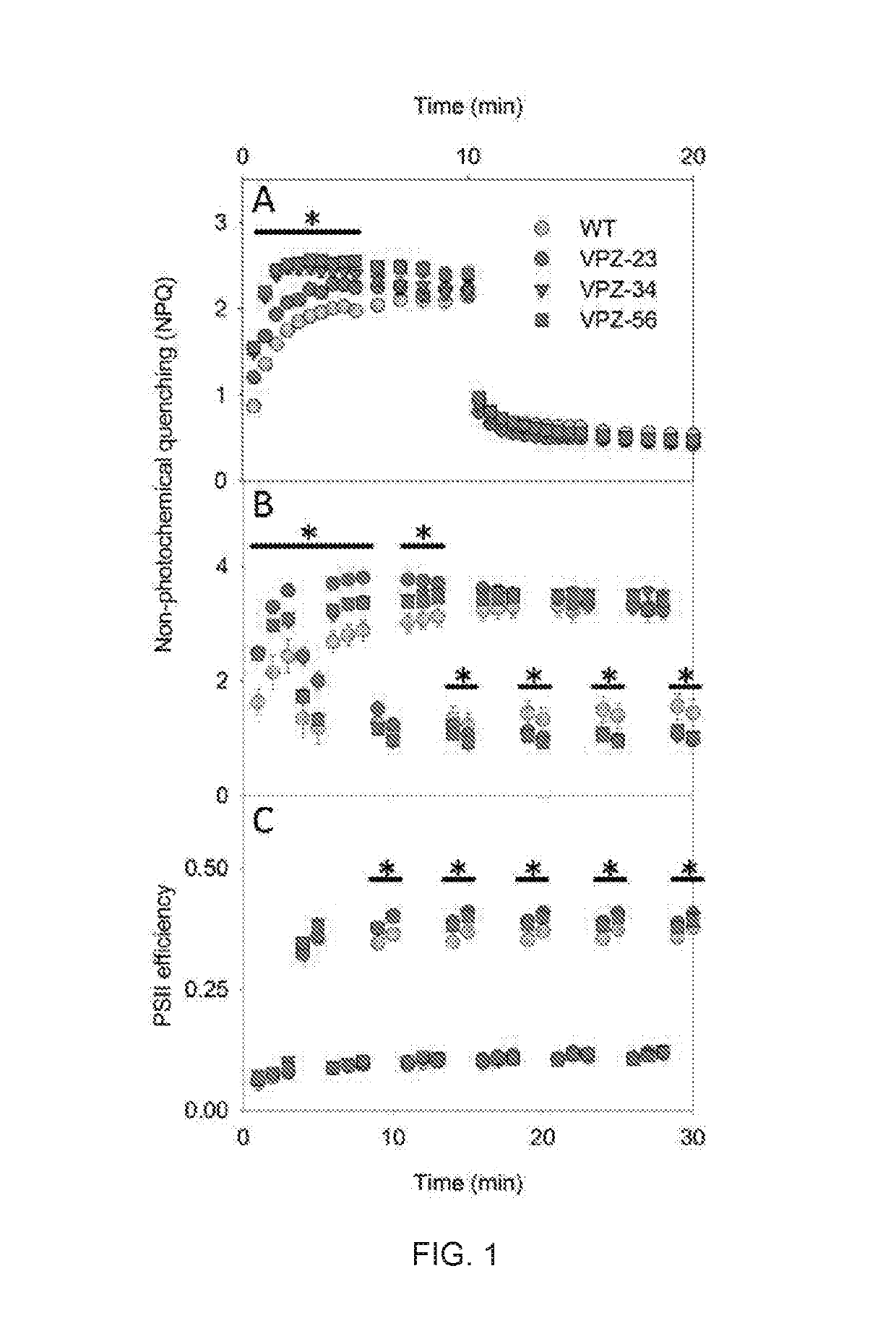 Transgenic plants with increased photosynthesis efficiency and growth