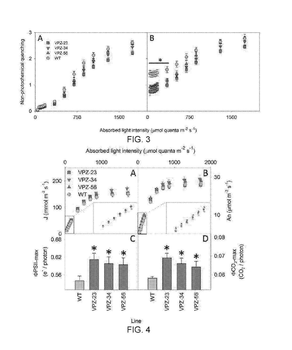 Transgenic plants with increased photosynthesis efficiency and growth