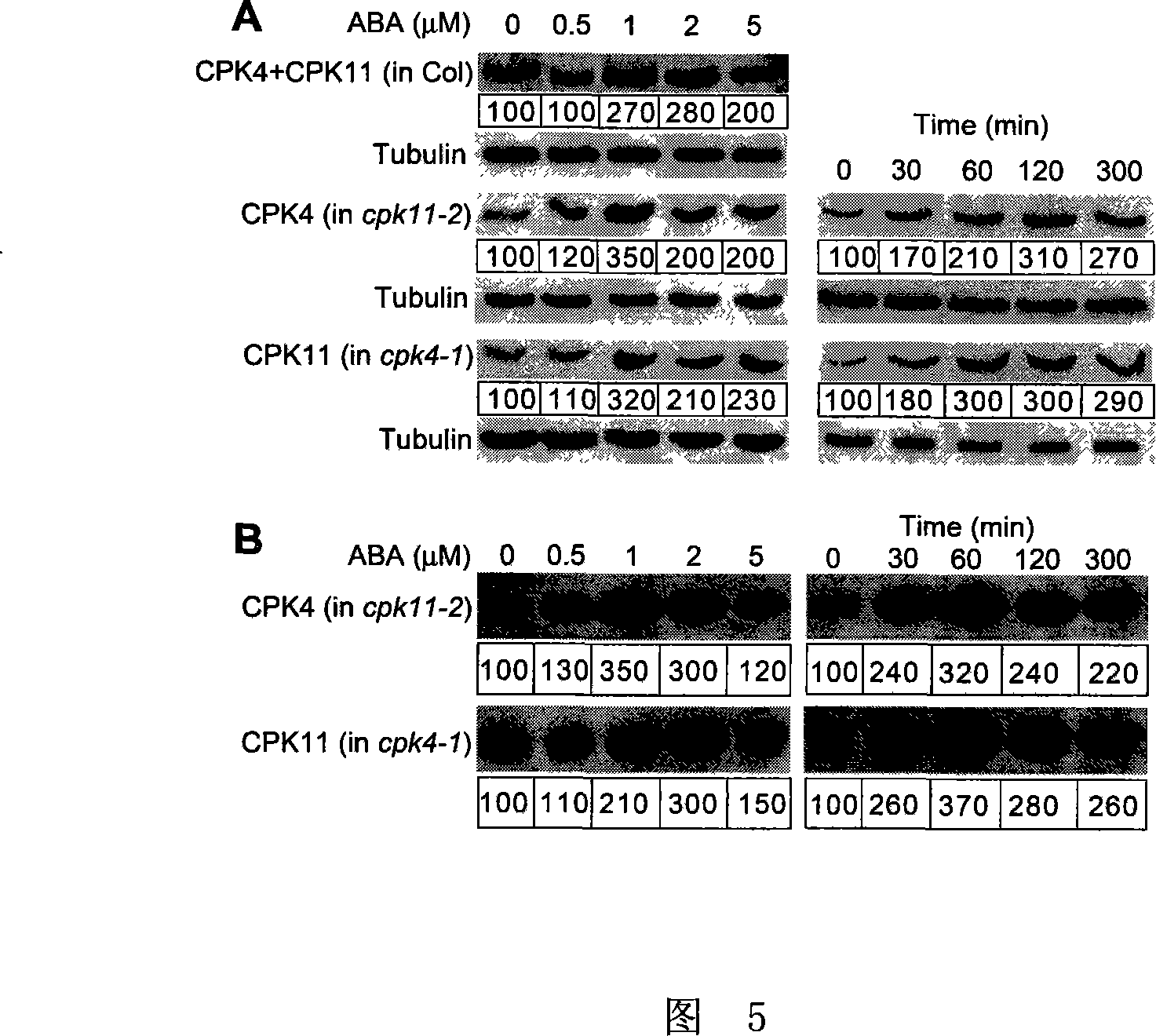 Method for cultivating drought-resistant and /or growth-delaying plant in hostile environment