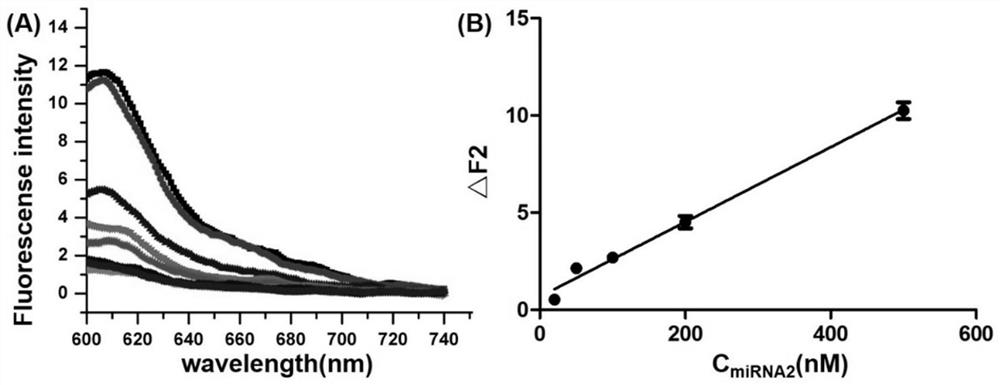 Fluorescence detection system, fluorescence biosensor and application thereof