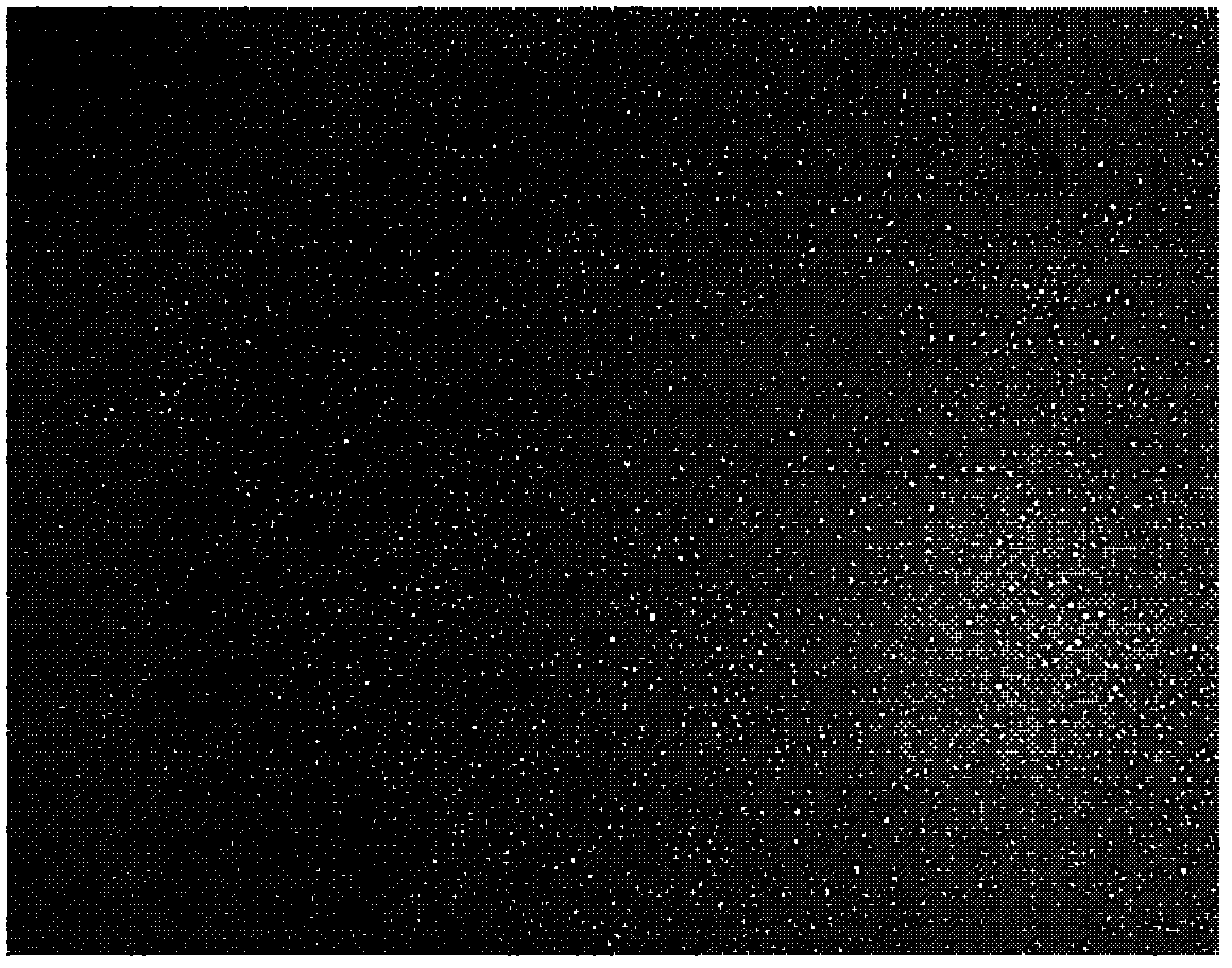 Orally-taken tuckahoe polysaccharide sulfate-chitosan nanoparticle and preparation method thereof