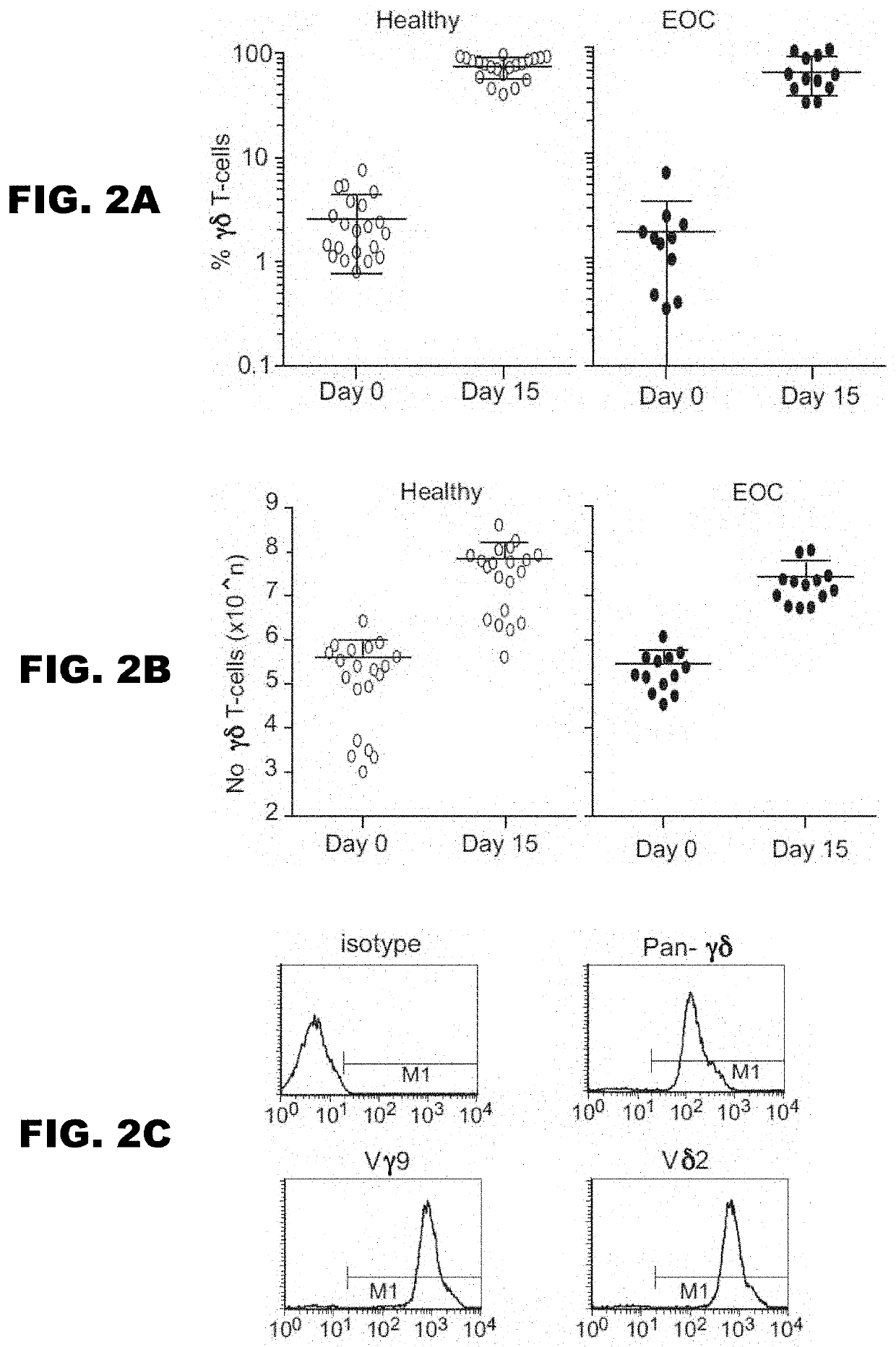 Gammadelta T cell expansion procedure