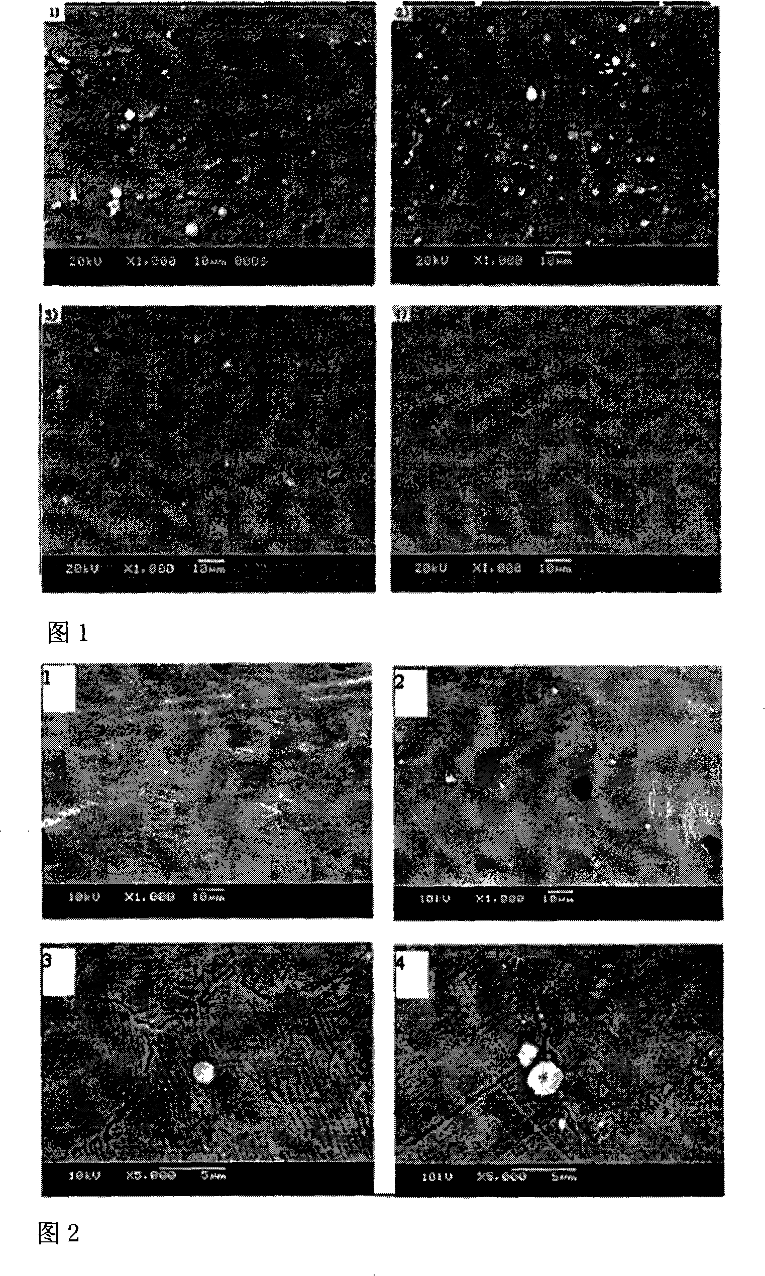 Metallic blood vessel bracket coating for osamine glycan load CD133 antibody and method for preparing the same